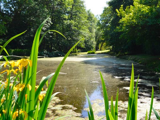 Ccfg Jardin Ccfg Jardin